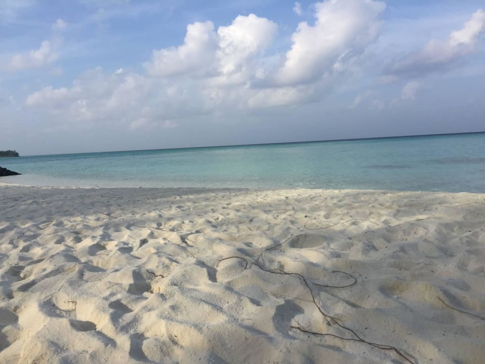 Strand Summer Island Maldives