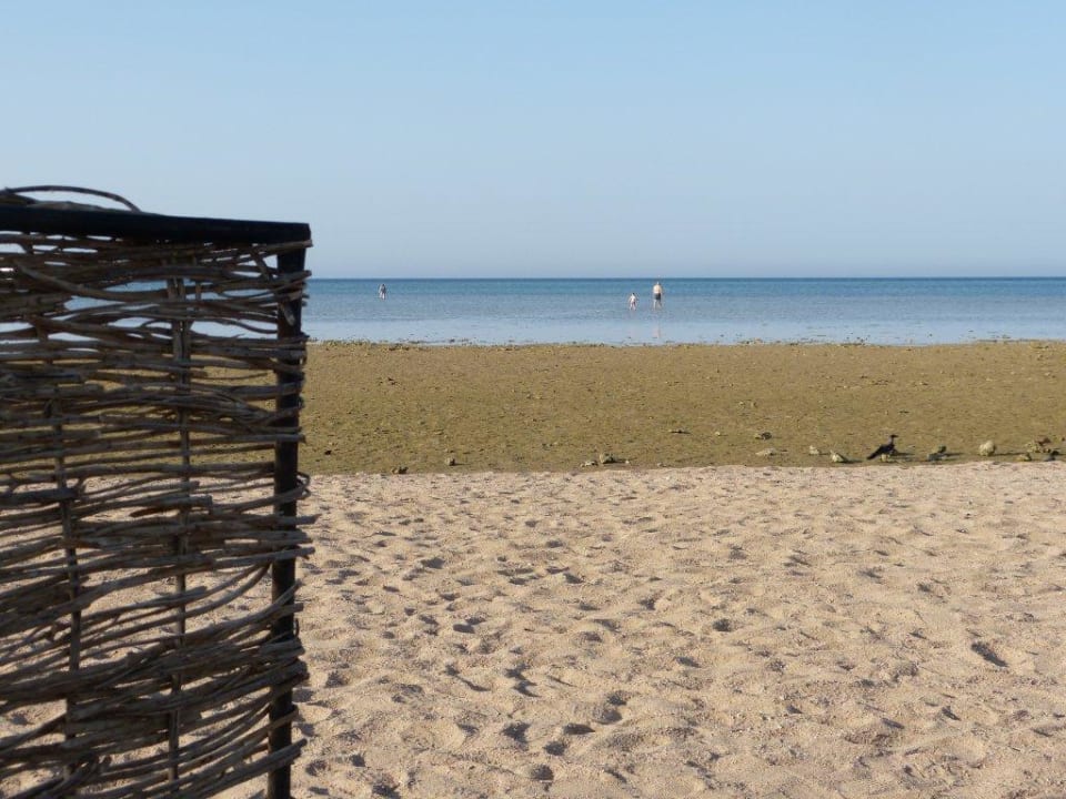 Odpływy były dobijające  Stella Garden Resort & Spa, Makadi Bay