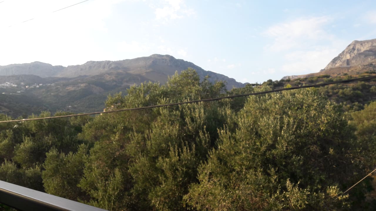 Ausblick Alianthos Garden Hotel