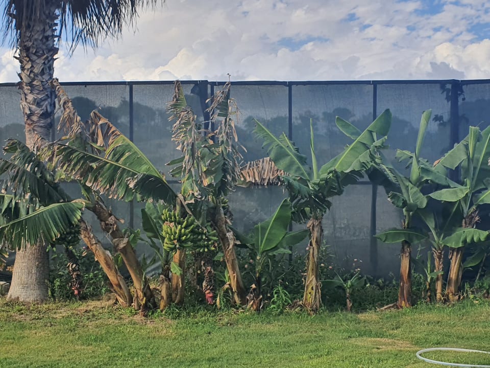 Gartenanlage J'adore Deluxe Hotel & Spa