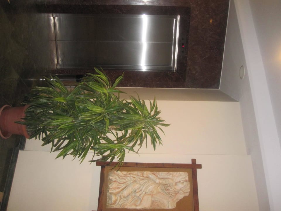 Fahrstuhl neben der Rezeption Side Bay Hotel