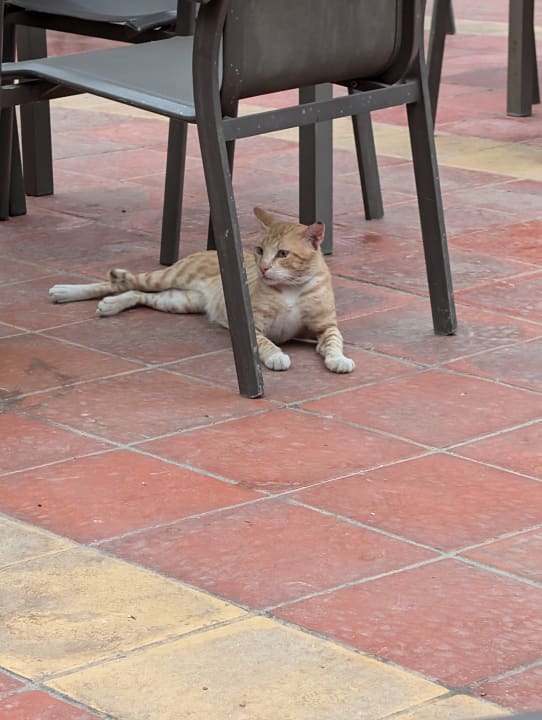 Gastro Skanes Serail Aquapark