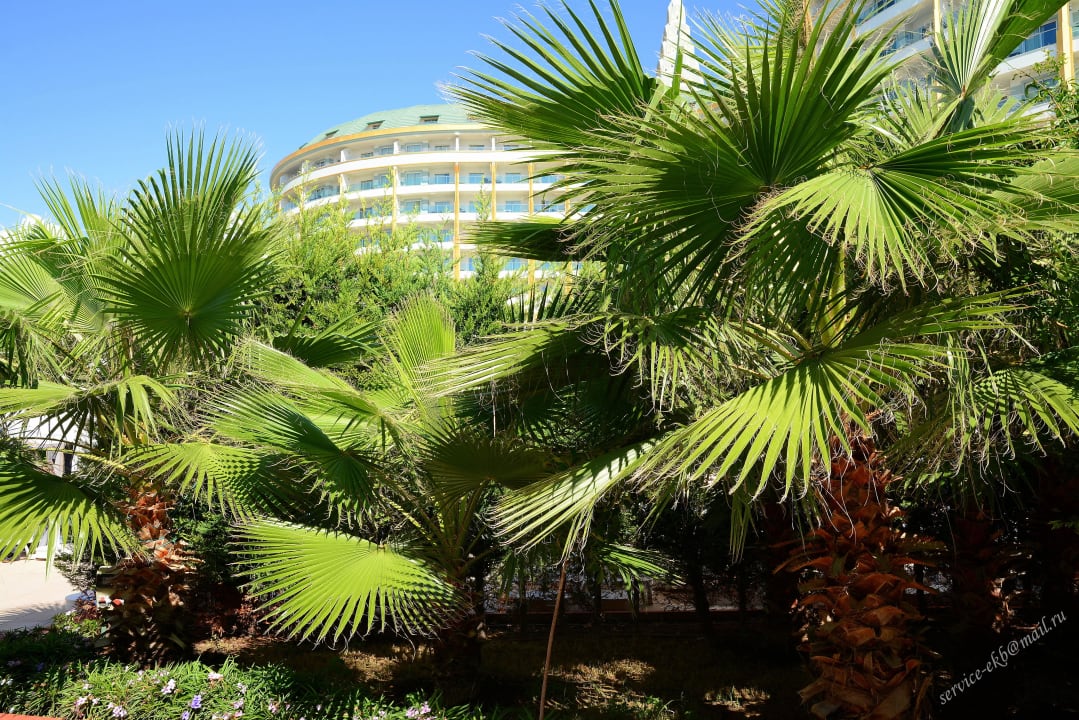 Delphin Imperial Hotel Delphin Imperial