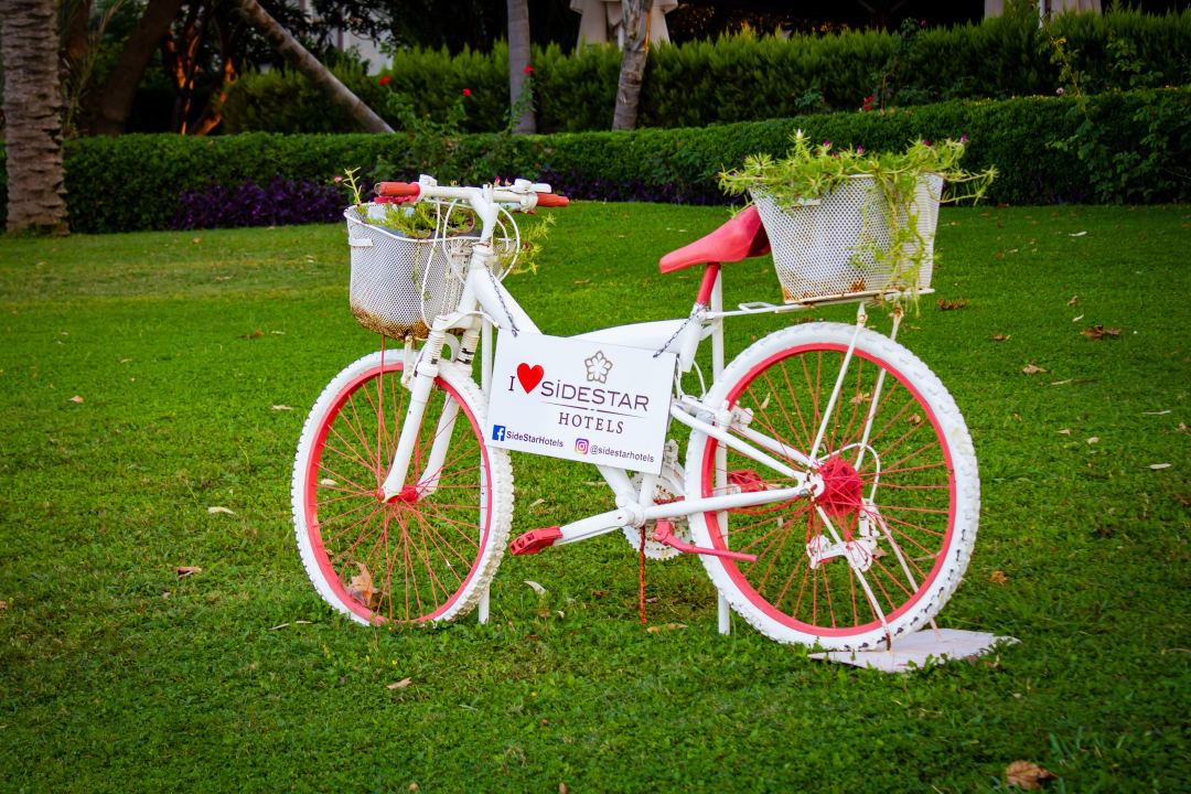 Gartenanlage Side Star Elegance