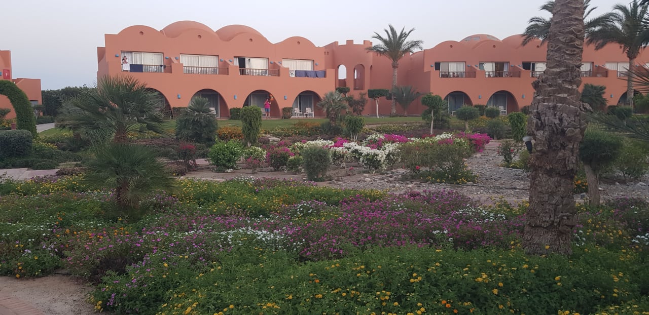 Außenansicht Novotel Marsa Alam Beach Resort