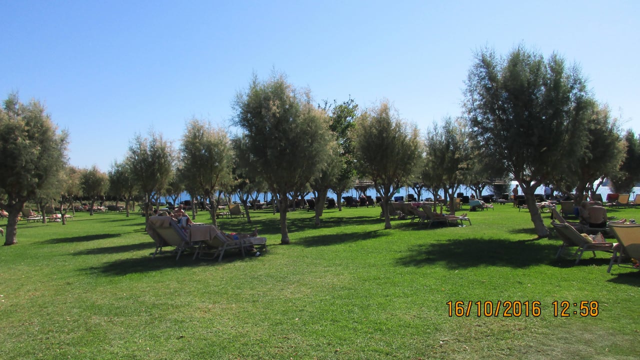 Weitläufige Liegeflächen Atlantica Imperial Resort