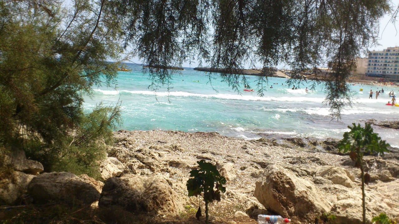 Kleine Stücke Fels, sonst purer Sand Hotel Mariant Park