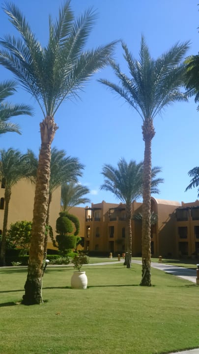 Найди чайник Stella Garden Resort & Spa, Makadi Bay