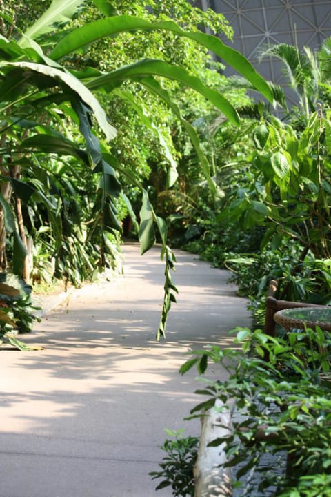 Dschungelpfad Tropical Islands Resort