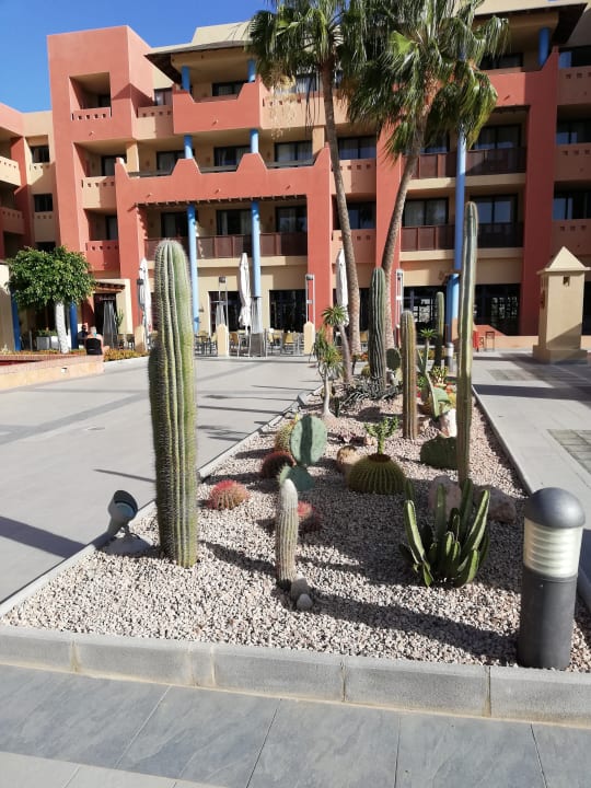 Gartenanlage H10 Tindaya