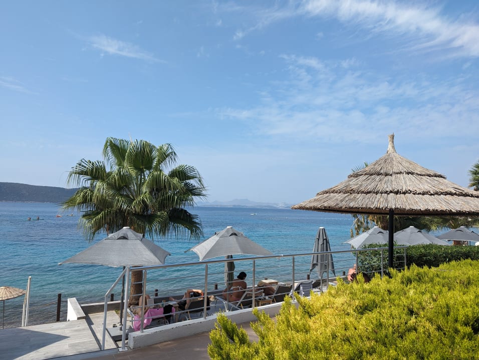 Ausblick TUI MAGIC LIFE Bodrum - Adult Only (16+)