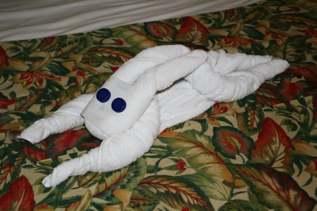 Rabbit from towels  Pyramisa Beach Resort Sahl Hasheesh