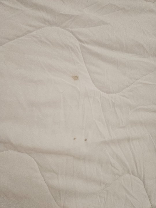 Zimmer HL Miraflor Suites Hotel