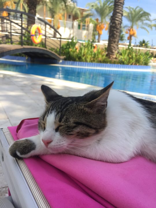 Sonstiges DoubleTree by Hilton Antalya-Kemer