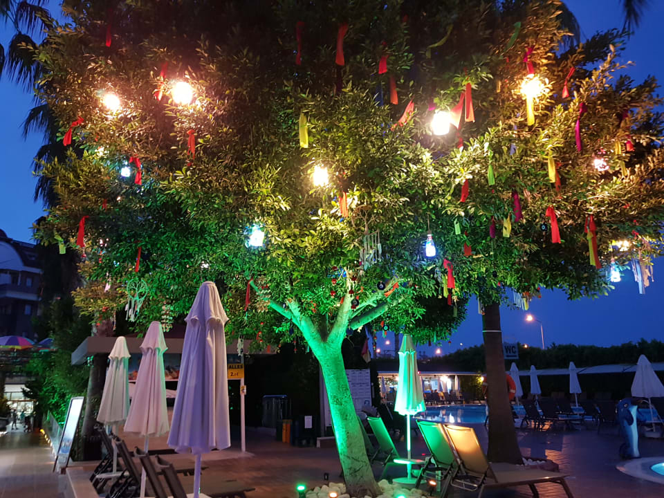 Gartenanlage Hane Family Resort