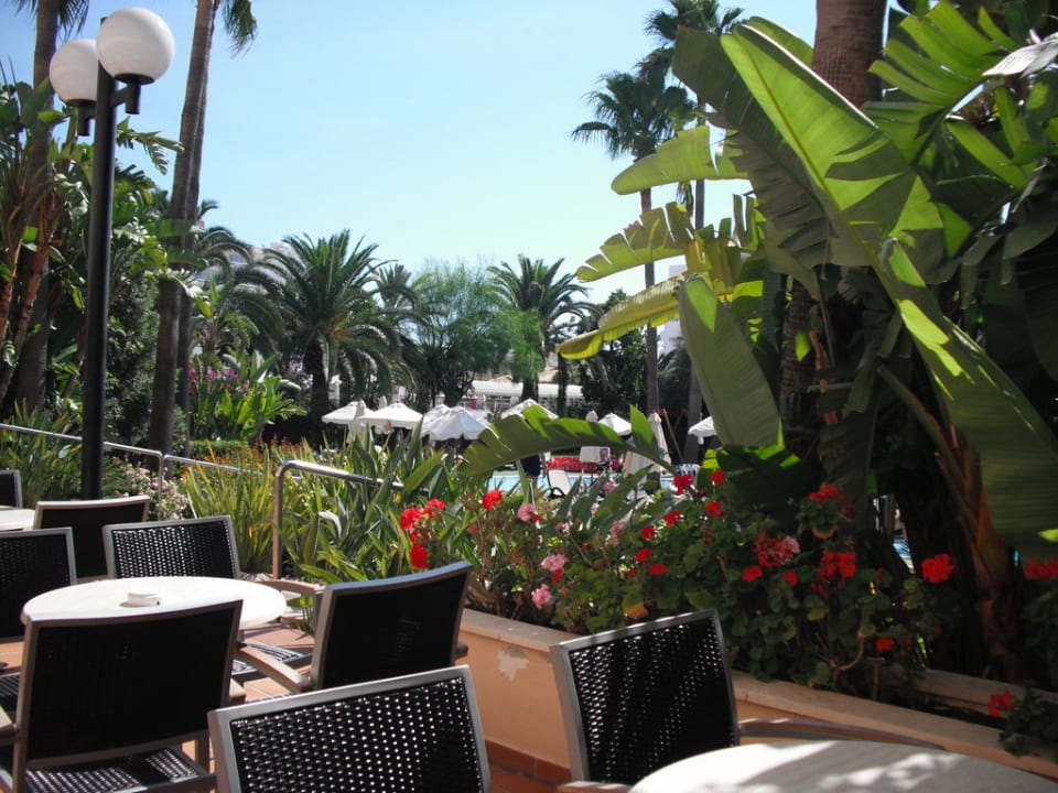 Terrasse Hipotels Said  Hotel