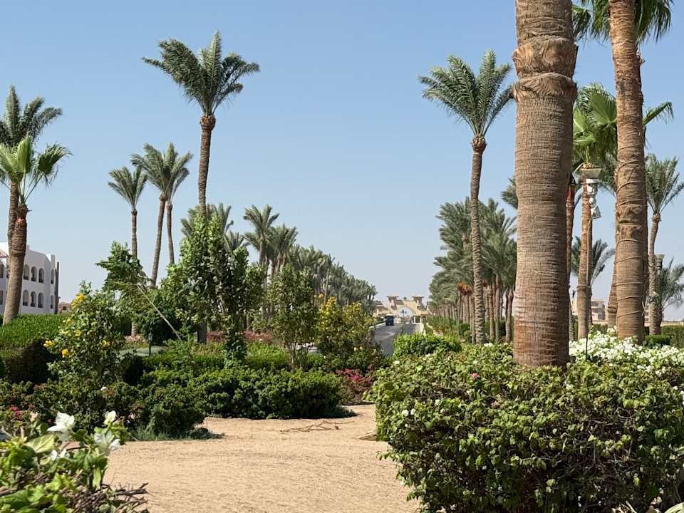 Gartenanlage Cleopatra Luxury Resort Makadi Bay
