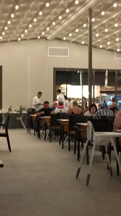 Essen hervorragend  Seashell Vega