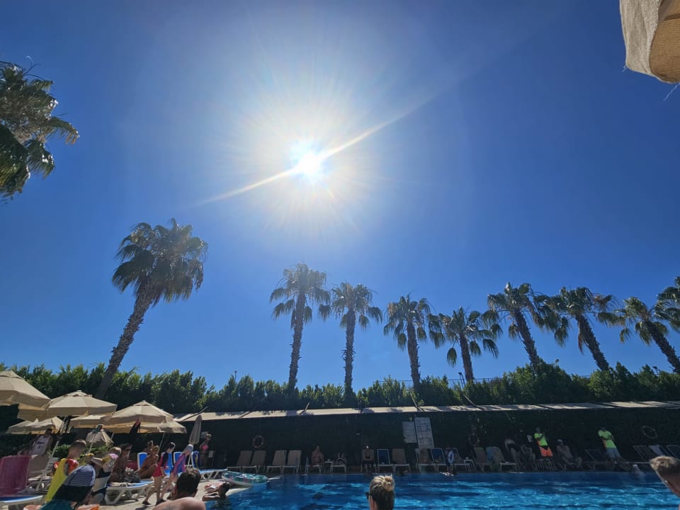 Pool Hane Family Resort