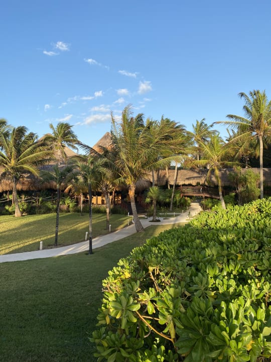 Gartenanlage Akumal Bay Beach & Wellness Resort