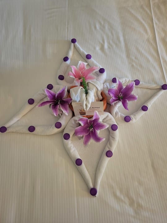 Zimmer Sunis Kumköy Beach Resort Hotel & Spa