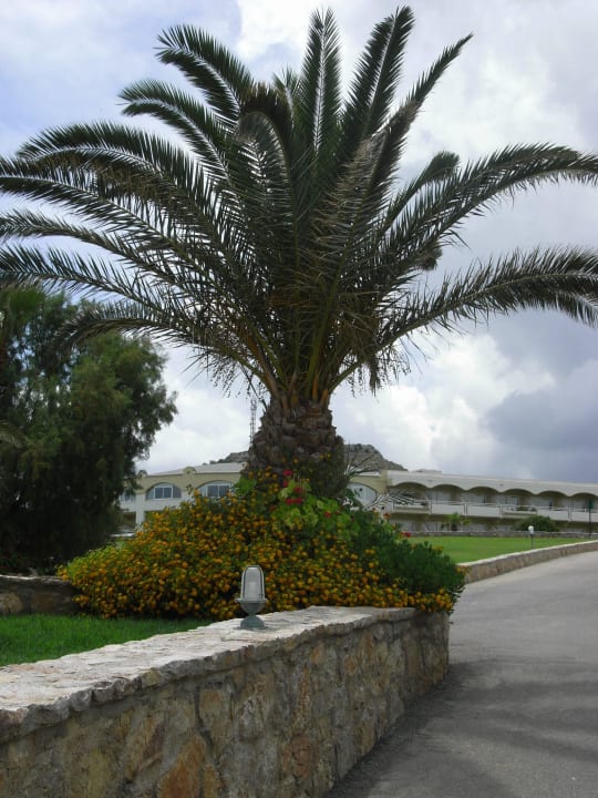 Weg zum Essen Hotel Kalithea Horizon Royal