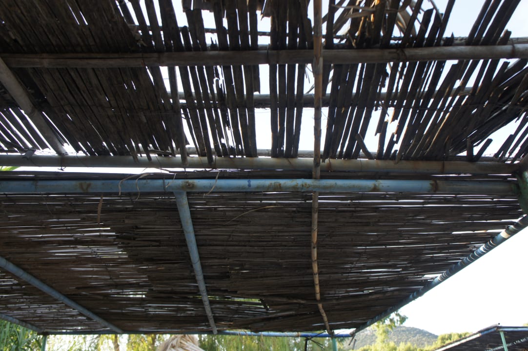 Strand Hotel Venus Beach