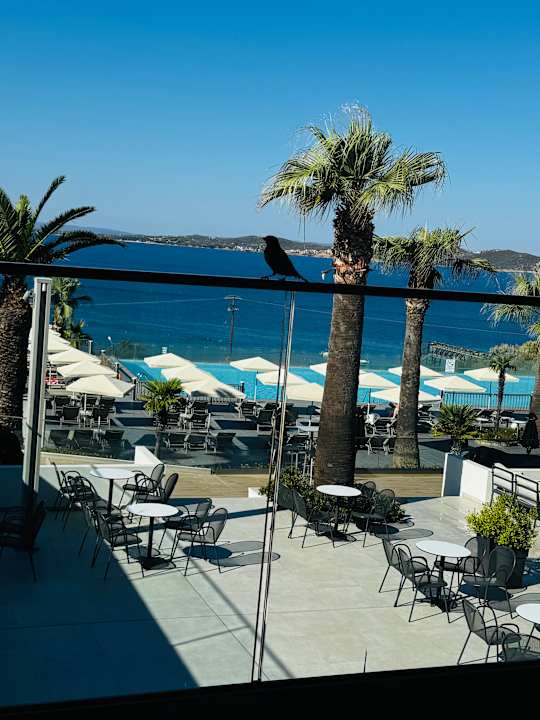 Gastro Akrathos Beach Hotel