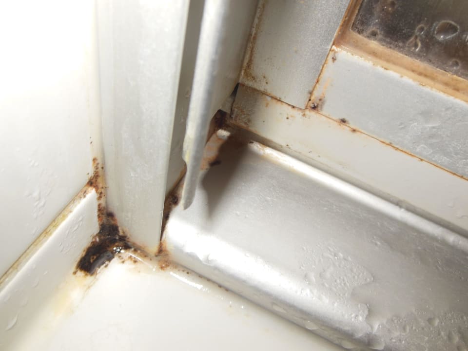 Duschtürinnenseite Ablagerungen und Schimmel IntercityHotel Schwerin