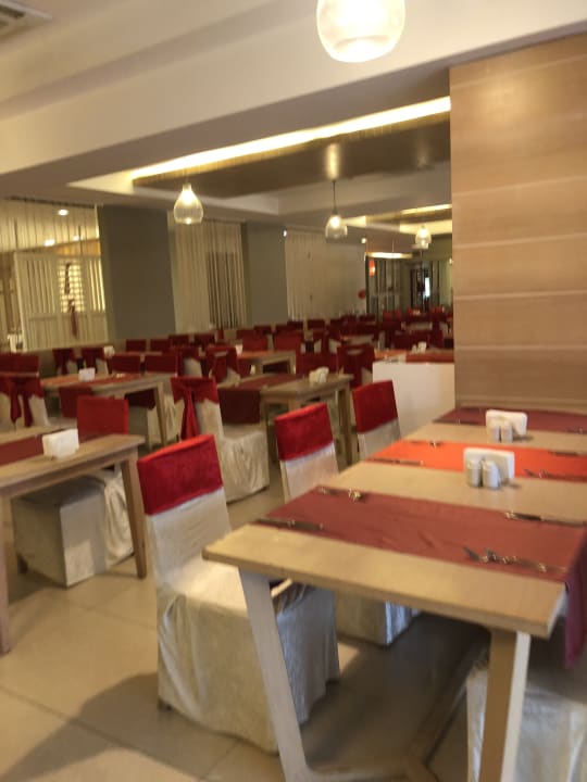 Gastro Terrace Elite Resort