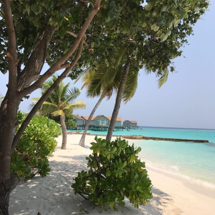 Strand Centara Ras Fushi Resort & Spa Maldives