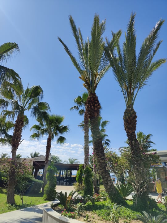 Gartenanlage Seaden Sea Planet Resort & Spa