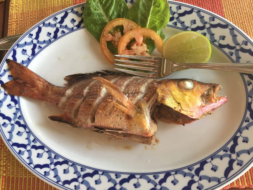 Gastro Villa Park Sun Island