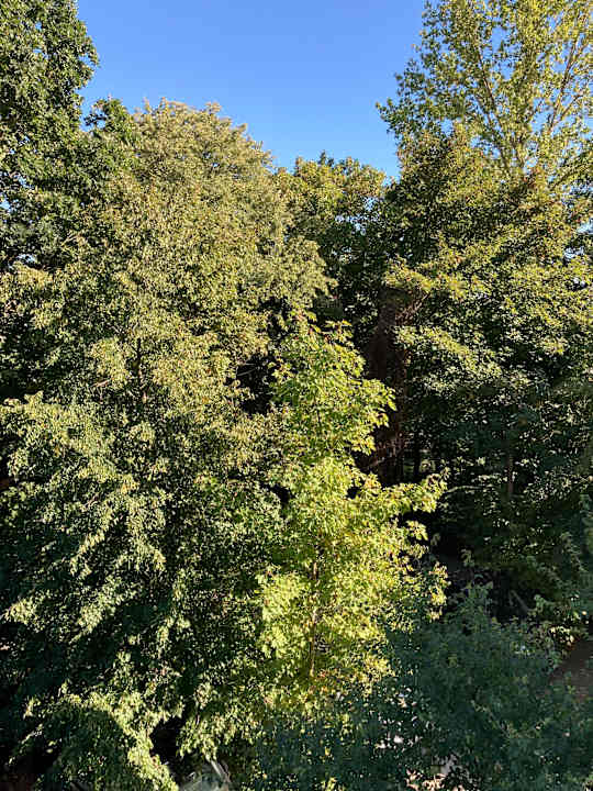 Außenansicht Best Western Hotel Windorf