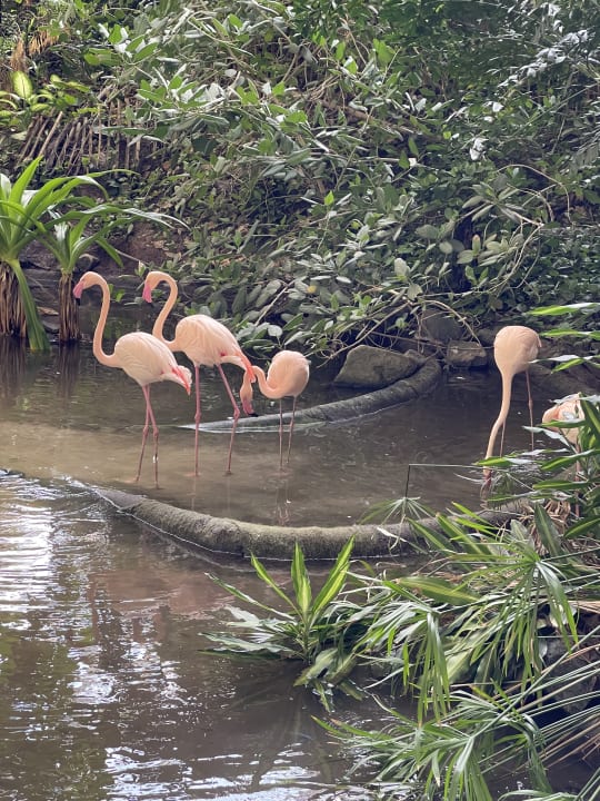 Gartenanlage Tropical Islands Resort