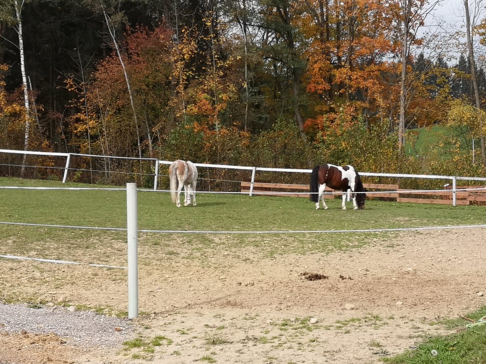 Sonstiges Aldiana Club Ampflwang