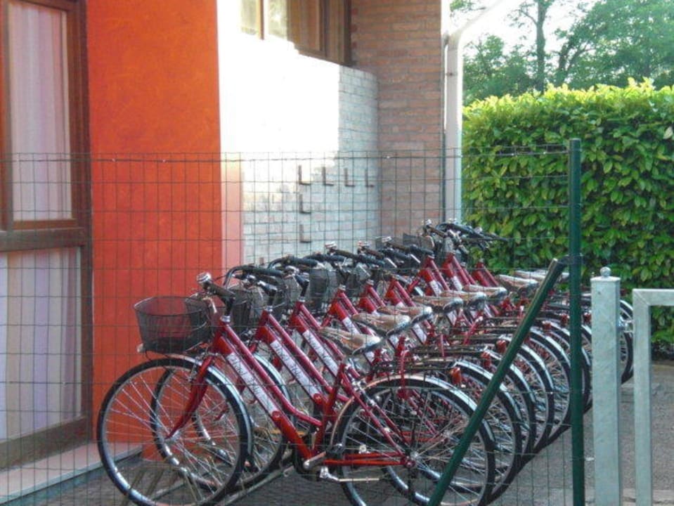 Bikes service Hotel Hiki