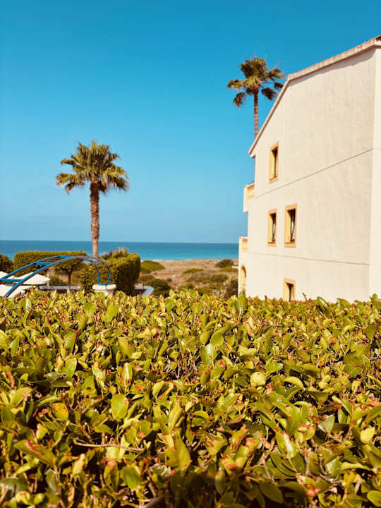 Gartenanlage Royal Son Bou Family Club