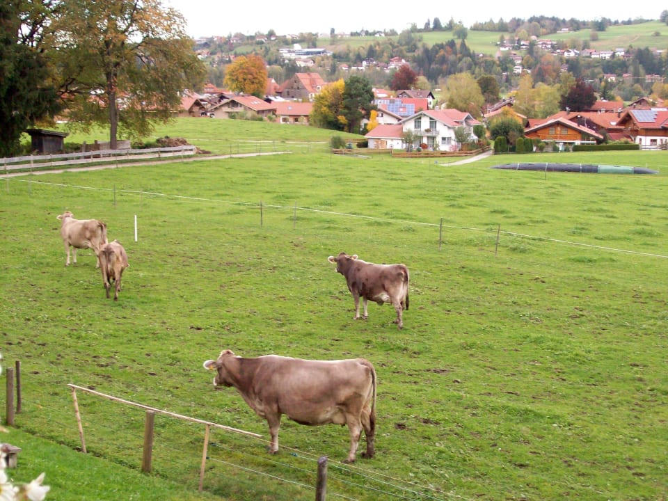 Blick vom Balkon Apartments Alpensonne 2000
