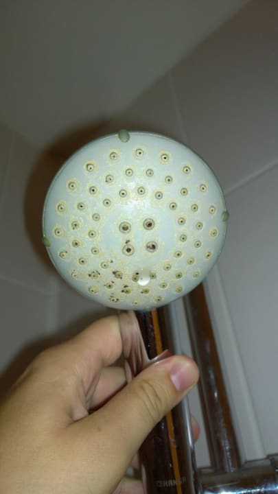 Schimmel und Kalk Ferienwohnungen Ferienpark Weissenhäuser Strand