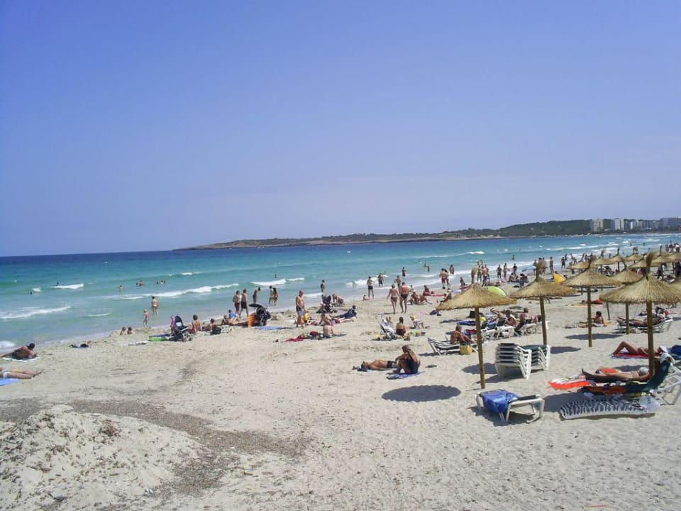Strand von Sa coma Protur Palmeras Playa Aparthotel