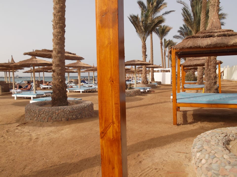 Sehr sauber inklusive Getränketaxi Pickalbatros Alf Leila Wa Leila Resort - Neverland Hurghada