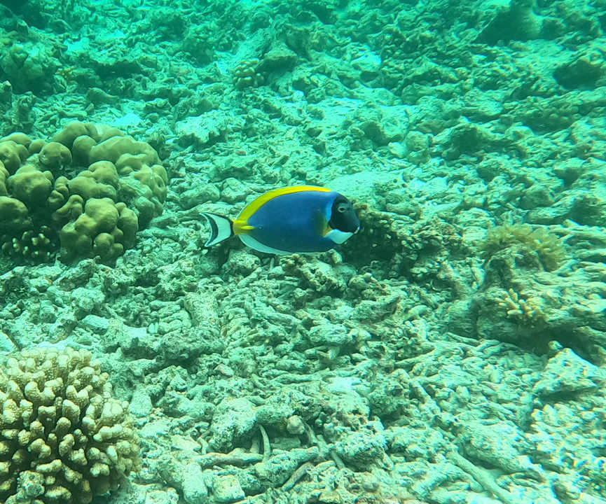 Sonstiges Thulhagiri Island Resort
