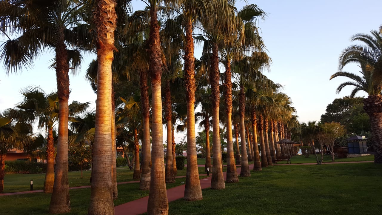Gartenanlage Hotel Miramare Beach