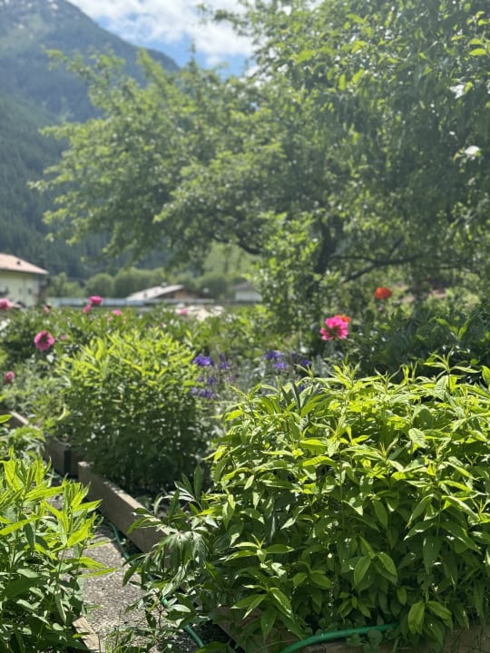 Gartenanlage Hotel Senningerbräu