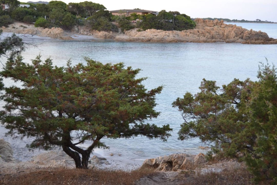 Cala Liberotto Haus 555 - Ausblick Sardafit Nr. 555a - Surfer's Traumhaus an zwei Sandstränden