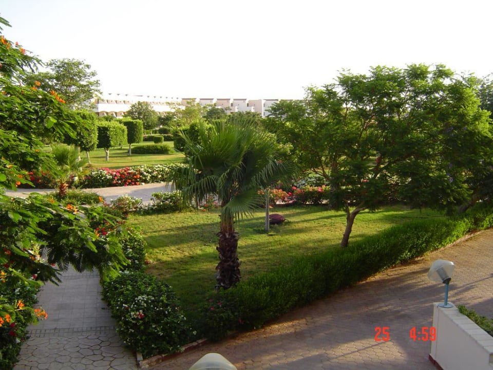 Die Gartenanlage SUNRISE Crystal Bay - TUI BLUE