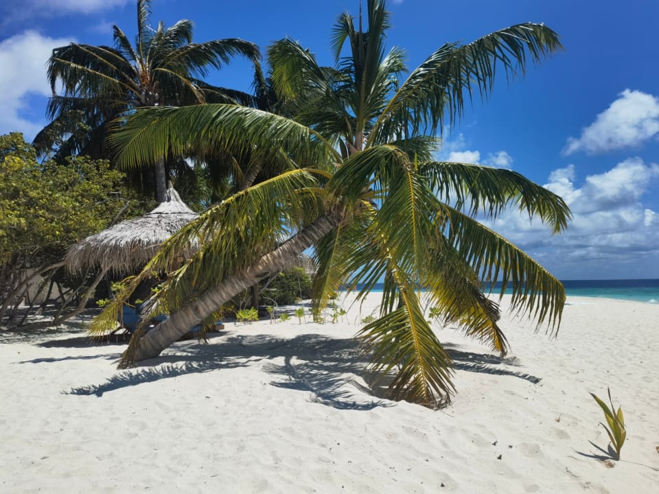 Ausblick ROBINSON MALDIVES