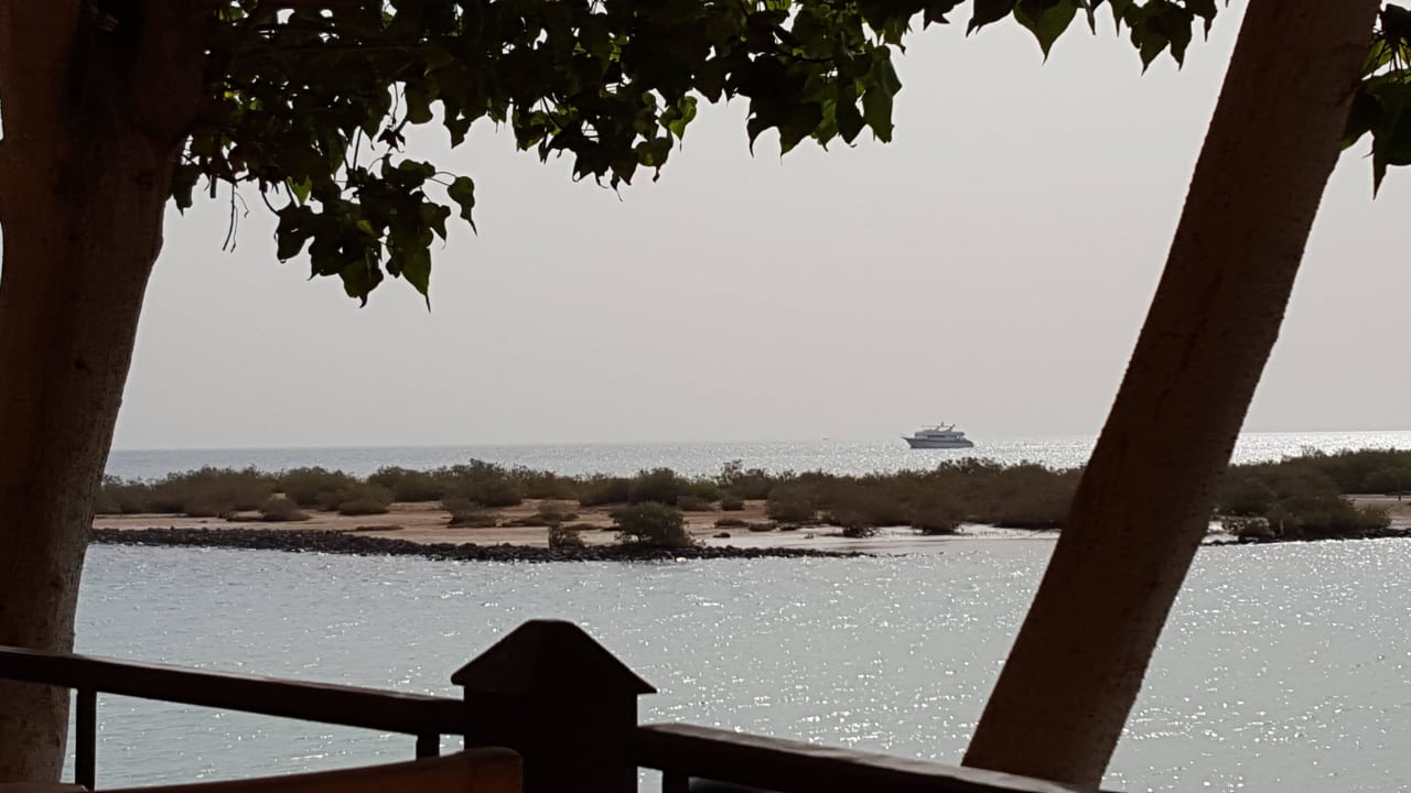 Sandbank gegenüber Hotel Three Corners Ocean View prestige - Adults only