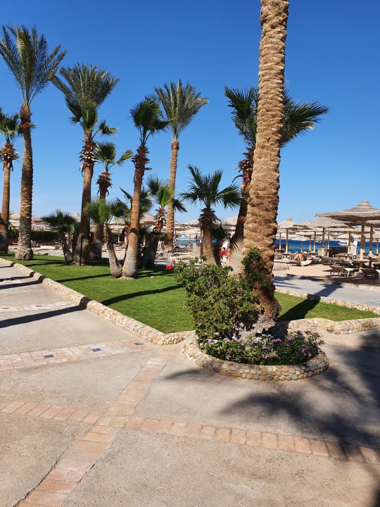 Gartenanlage Jaz Makadi Oasis Resort